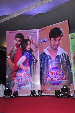 Veeri Veeri Gummadi Pandu Movie Audio Launch